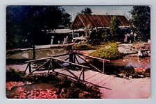 San Francisco CA-California, Outdoor Flower Exhibit, Stait Fair Vintage Postcard picture