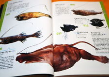 Deep Sea Fishes - Monsters of Underworld Book from Japan Japanese fish #1135 picture