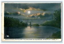 c1920's Rorick's Glen River From Playground By Moonlight Elmira NY Postcard picture