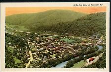 Older Pineville Kentucky Bird's-Eye View Historic Vintage Postcard picture