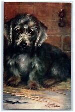 Dandie Dinmont Terrier Dog Maud Puppy Pet Dog Animals Oilette Tuck's Postcard picture