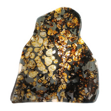 47.5g SERICHO pallasite Meteorite slice - from Kenya CA180 picture