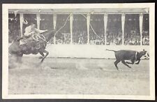 Cowboy Calf Roping 1941 Iowa's Championship Rodeo Vintage Postcard Unposted picture