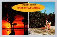 Dade City FL-Florida, Scenic Greetings, Sunset, Orange Picking, Vintage Postcard picture