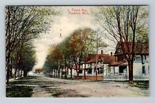 Frankfort MI-Michigan, Forest Ave Residences, Antique, Vintage c1909 Postcard picture