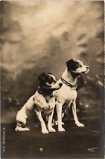 CPA AK Two Cute Dogs DOGS (1387991) picture