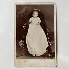 Antique Cabinet Card Photograph Adorable Baby Hidden Mother Park Ridge IL picture