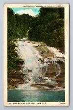 Ithaca NY-New York, Lower Falls, State Park, Antique, Vintage c1930 Postcard picture