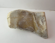 Large Chert Rock 2.7 lb- Rocks, Crystals, Minerals picture