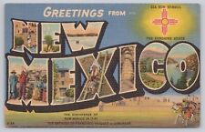 New Mexico, Large Letter Greetings, Zia Sun Symbol, Vintage Postcard picture