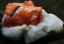 GREAT SERANDITE XTAL W POLYLITHIONITE ON ANALCIME 2.5X4X2.5 CM, QUEBEC CANADA25 picture