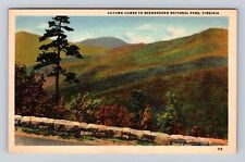 Shenandoah National Park, Autumn Coming, Antique, Vintage Souvenir Postcard picture