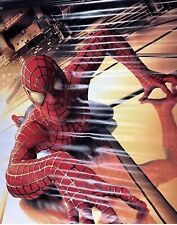 SPIDER-MAN 2002  8’ X 5’ ORIGINAL Theater VINYL BANNER RARE Magnificent piece picture
