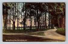Rhinebeck NY-New York, Spring Brook Ave Antique, Vintage Souvenir Postcard picture