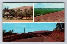 Llano TX-Texas, Enchanted Rock, Largest Granite Mt Southwest, Vintage Postcard picture