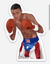 Felix Trinidad  #1 Refrigerator Magnet Boxing Puerto Rico picture