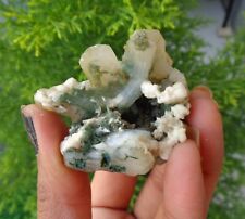 Marshy Green Stilbite w/ Heulandite Minerals Specimen #E55 picture