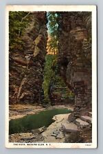 Watkins Glen NY-New York, The Vista, Scenic, Vintage Postcard picture