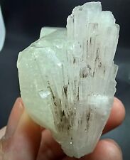 Natural Apophyllite with solecite crystal specimen Raw green Apophyllite Stone  picture