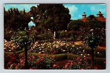 San Simeon CA-California, Scenic View Hybrid Roses, Garden, Vintage Postcard picture