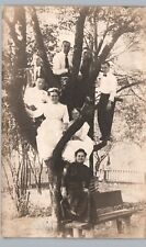 LADIES CLIMB TREE PARTY portland or real photo postcard rppc oregon history picture