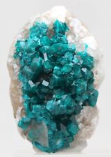 DIOPTASE Crystal Cluster Emerald Green Mineral Natural Specimen Quartz Matrix picture