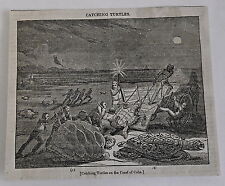 1832 magazine engraving ~ Catching TURTLES on Coast of CUBA picture