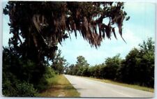 Postcard - Spanish Moss picture