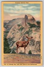 Yosemite National Park Deer Doe Half Dome CA Linen Vtg Postcard 1930-40's Unused picture