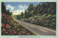 1947 Greetings From Moravia,NY Cayuga County New York A. Biren Linen Postcard picture
