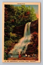 VA-Virginia, Cascade Falls, Antique, Vintage Souvenir Postcard picture