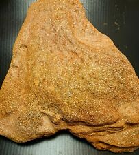 Giant Unique Golden Mineralizes Piece, Perfect For Collectors, Museum, Jewelry  picture