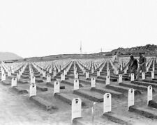 U.S. Marine Cemetery from the Invasion of Iwo Jima WWII 8x10 Photo 367a picture