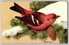Vintage Postcard White-Winged Crossbill National Wildlife Federation Signed 1957 picture
