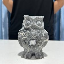 2.5LB 4.6''Natural Shell Stone Owl Statue Crystal Quartz Carving Healing Decor picture