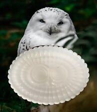 Vintage Avon 1960s Milk Glass Owl Pedestal Oval Soap Dish VGUC picture