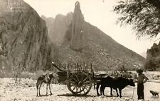 RPPC Man with Ox Cart, Donkey, Dog - Monterrey, NL Mexico Vintage Postcard picture