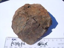 427 grams NWA xxx unclassified as found individual stoney Meteorite with a COA picture