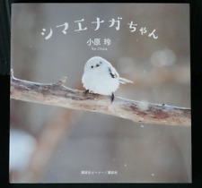 Long-tailed tit / Shimaenaga-chan - by Rei Ohara Photo Book picture