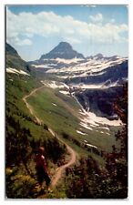 Reynolds Mountain From Going-To-The-Sun-Highway Glacier National Park Postcard picture