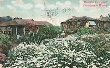 Pomona CA California, Beautiful Bungalows Winter, Vintage Postcard picture