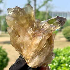 205G  Natural Himalayan Black Smoked Crystal Meditation Energy Crystal cluster picture