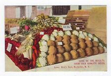 Early 1900's Adver. Postcard James Vick's Son's Quality Seeds Unposted picture