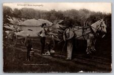 Exaggeration RPPC Postcard Martin Large Fish On Horse Drawn Wagon Two Men Boy picture