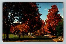 MI-Michigan, General Scenic Greetings, Autumn, Pathway, Vintage Postcard picture