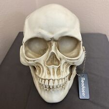 Readaeer 1:1 Human Skull Model With Tag picture
