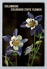 CO-Colorado, Columbine, State Flower, Vintage c1971 Souvenir Postcard picture