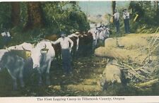 OREGON OR - The First Logging Camp In Tillamook County Postcard picture