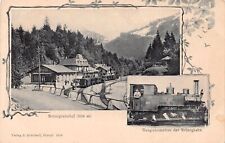 Brunig Hasliberg Railroad Train Station Depot Switzerland Vtg Postcard D46 picture