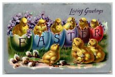 Vintage 1910's Tuck's Easter Postcard Cute Chicks Hatch from Colored Eggs - NICE picture